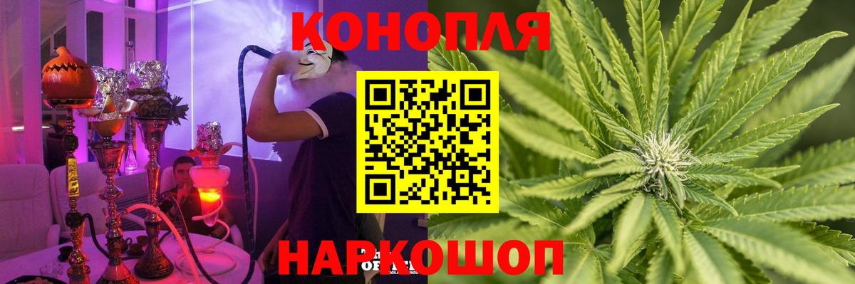 Бошки Шишки гибрид Приморско-Ахтарск